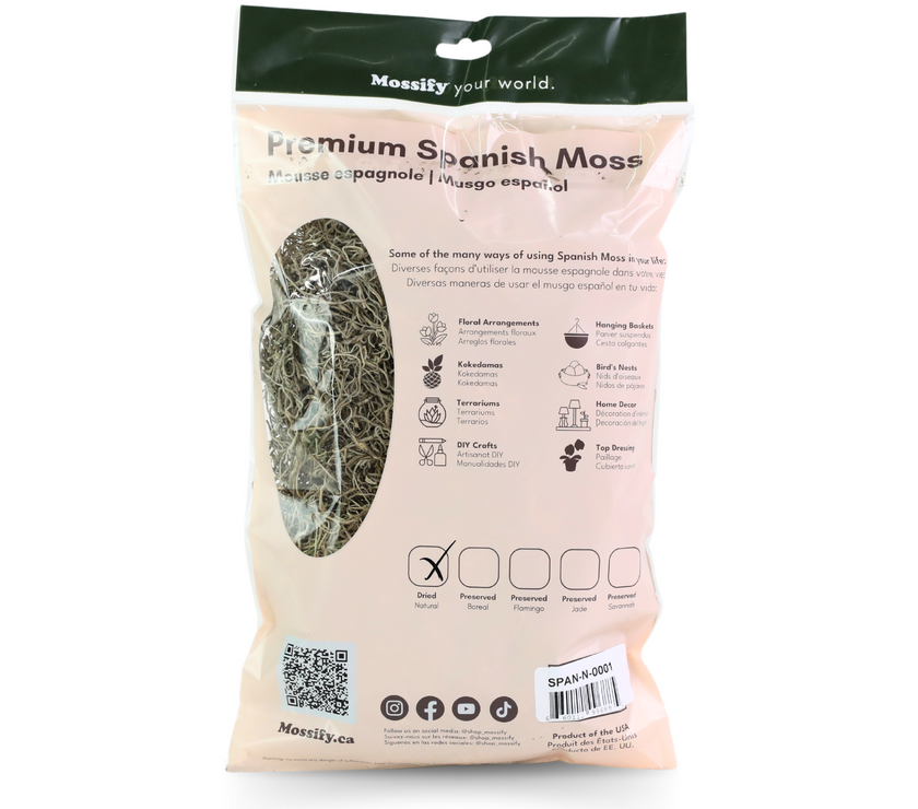 Premium Spanish Moss