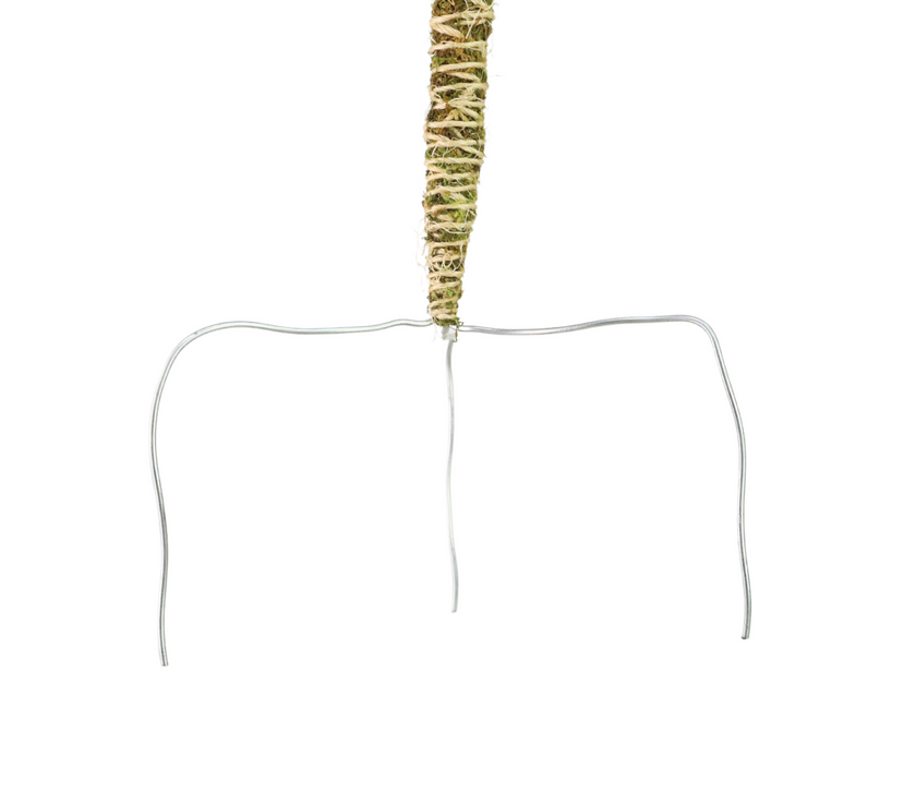 The Bendable Moss Pole™ 𝘛𝘏𝘐𝘕