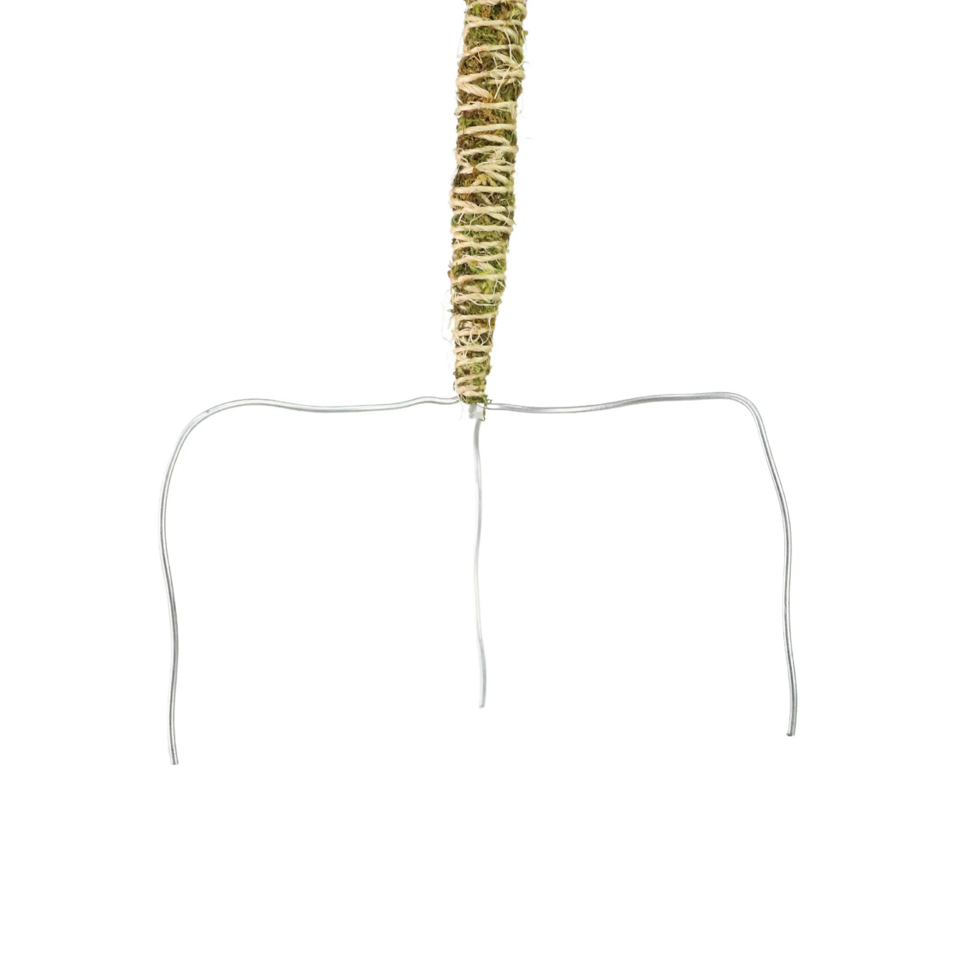 The Bendable Moss Pole™ 𝘛𝘏𝘐𝘕 Mossify Accessories art-noise.myshopify.com the-bendable-moss-pole™-𝘛𝘏𝘐𝘕 The Bendable Moss Pole™ 𝘛𝘏𝘐𝘕 Mossify Accessories art-noise.myshopify.com the-bendable-moss-pole™-𝘛𝘏𝘐𝘕