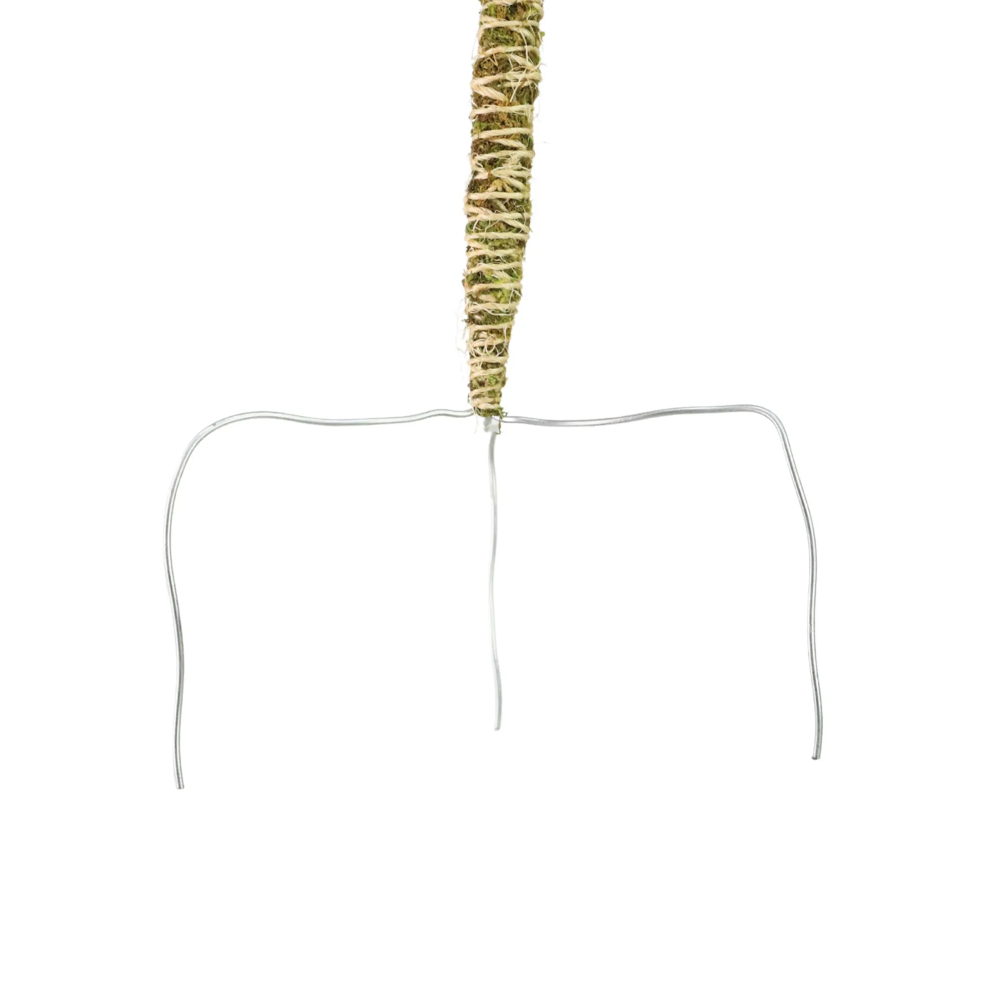 The Bendable Moss Pole™ 𝘛𝘏𝘐𝘕 Mossify Accessories art-noise.myshopify.com the-bendable-moss-pole™-𝘛𝘏𝘐𝘕 The Bendable Moss Pole™ 𝘛𝘏𝘐𝘕 Mossify Accessories art-noise.myshopify.com the-bendable-moss-pole™-𝘛𝘏𝘐𝘕