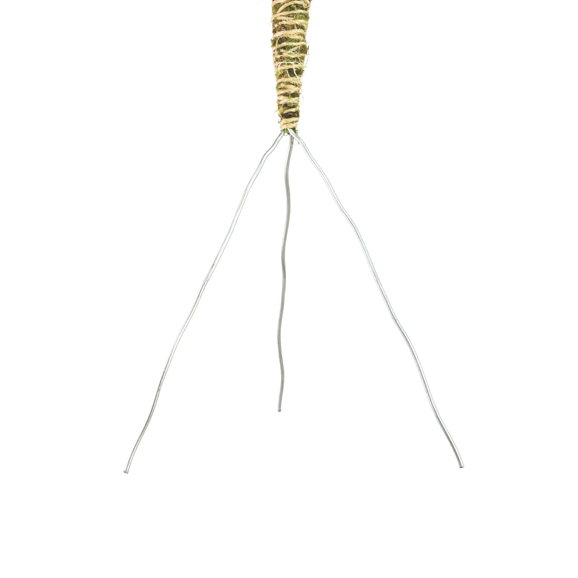 The Bendable Moss Pole™ 𝘛𝘏𝘐𝘕 Mossify Accessories art-noise.myshopify.com the-bendable-moss-pole™-𝘛𝘏𝘐𝘕 The Bendable Moss Pole™ 𝘛𝘏𝘐𝘕 Mossify Accessories art-noise.myshopify.com the-bendable-moss-pole™-𝘛𝘏𝘐𝘕