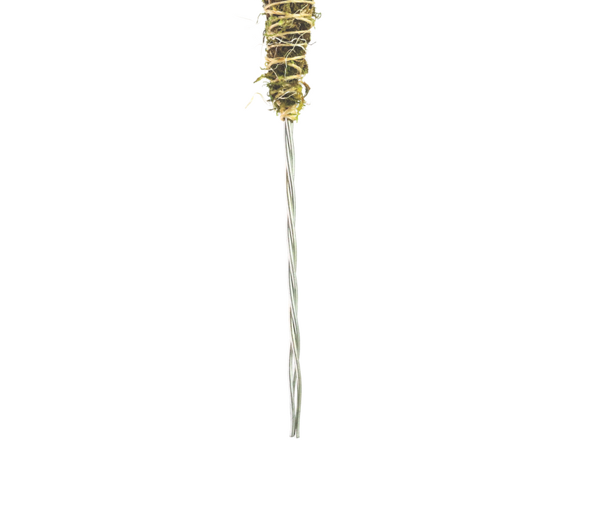 The Bendable Moss Pole™ 𝘛𝘏𝘐𝘕