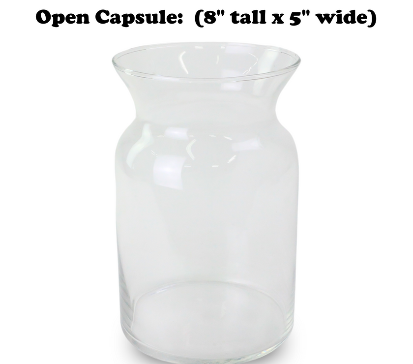Mossify Terrarium Kit