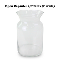 Mossify Terrarium Kit