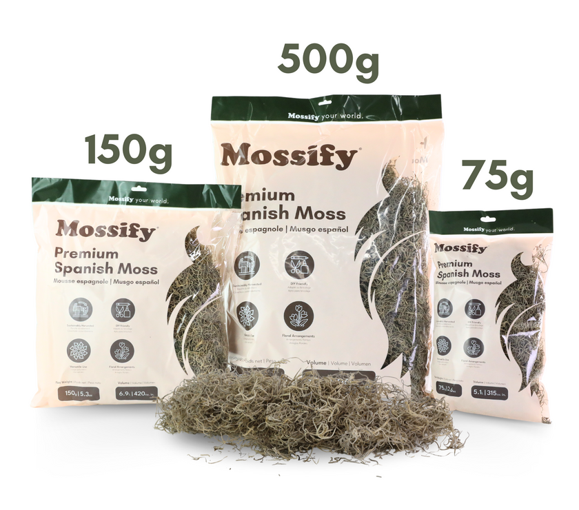 Premium Spanish Moss