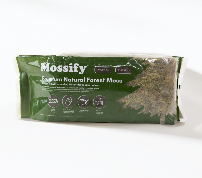 Premium Natural Forest Moss