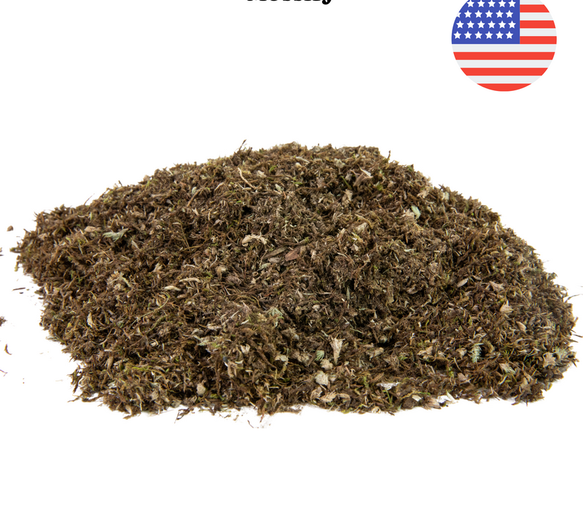 Growable Moss for the Sun