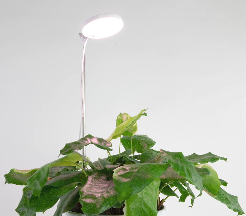 Adjustable LED Plant Light