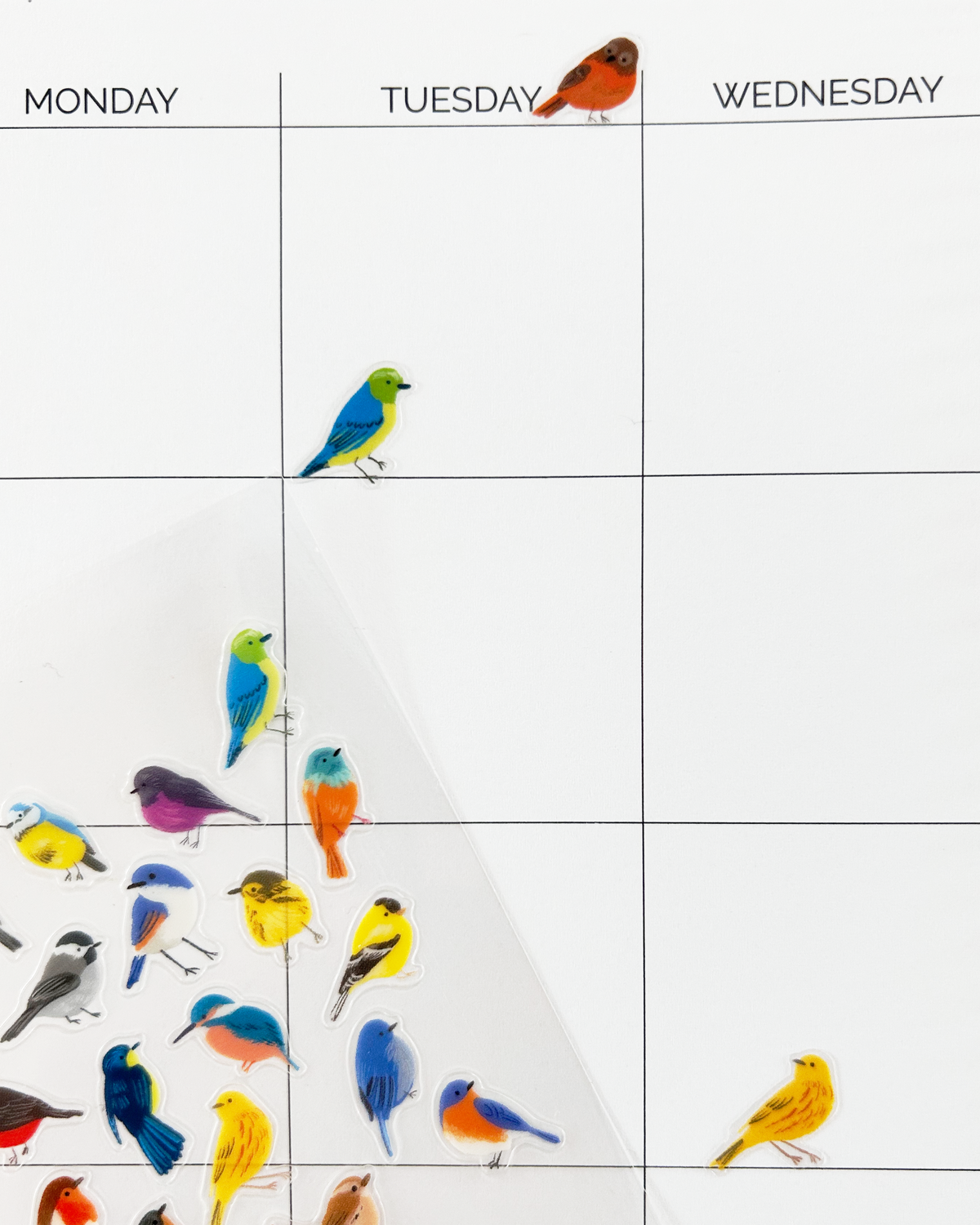 Birds Wildlands Stickers