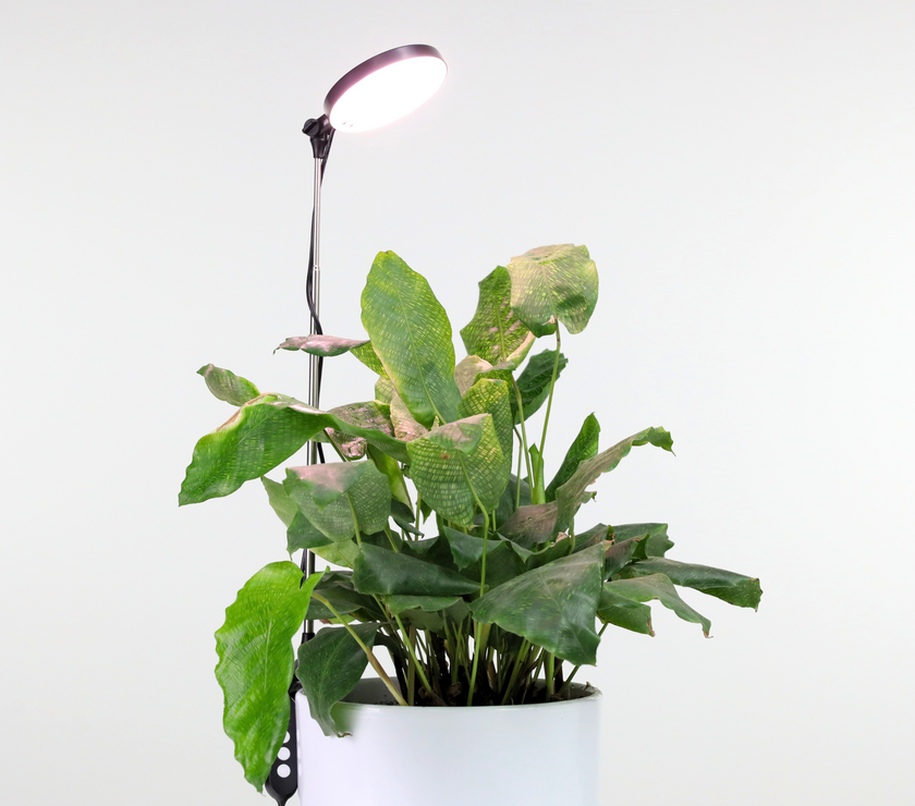 Adjustable LED Plant Light