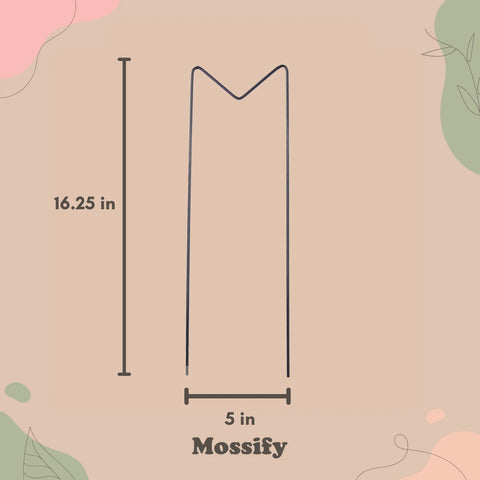 "M" Metal Trellis Mossify Accessories art-noise.myshopify.com m-metal-trellis "M" Metal Trellis Mossify Accessories art-noise.myshopify.com m-metal-trellis