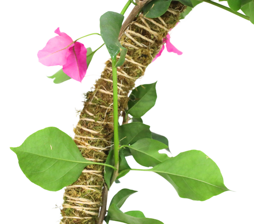 The Bendable Moss Pole™ 𝘛𝘏𝘐𝘕