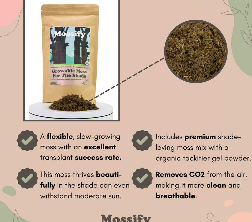 Growable Moss for the Shade