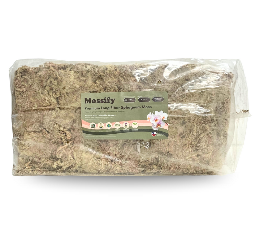Premium Sphagnum Moss