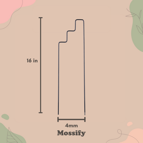 "Plant Stairs" Metal Trellis Mossify Accessories art-noise.myshopify.com plant-stairs-metal-trellis