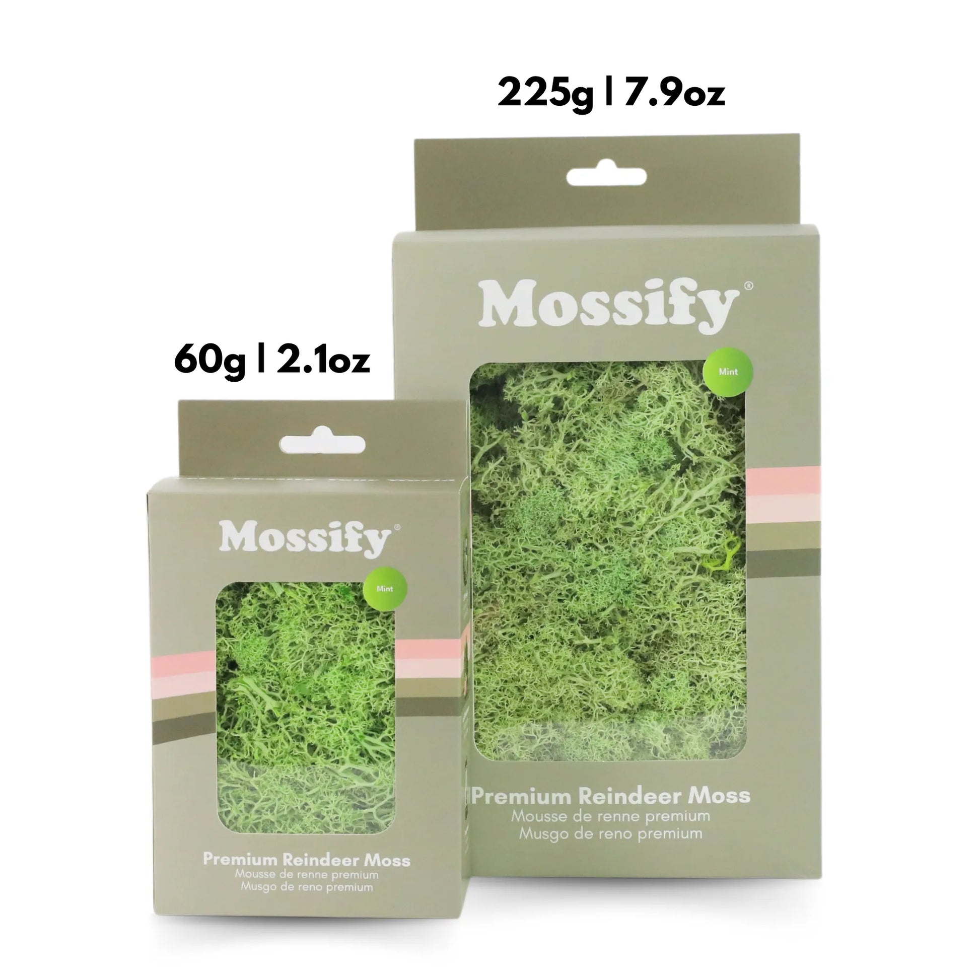 Premium Preserved Reindeer Moss Mossify product_type art-noise.myshopify.com premium-preserved-reindeer-moss Premium Preserved Reindeer Moss Mossify  art-noise.myshopify.com premium-preserved-reindeer-moss