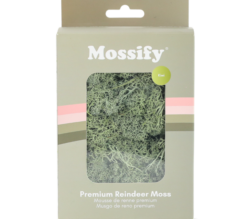 Premium Preserved Reindeer Moss