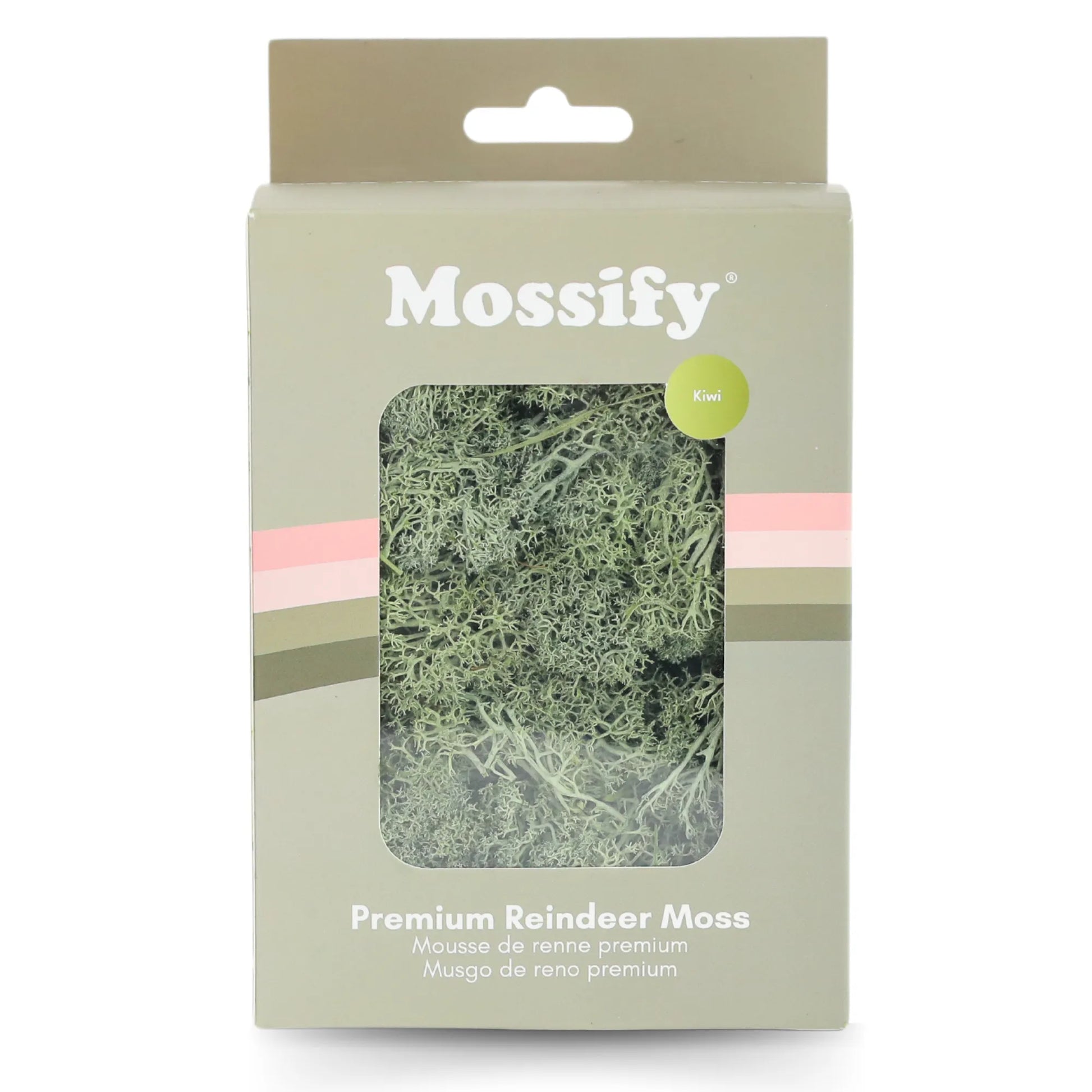 Premium Preserved Reindeer Moss Mossify product_type art-noise.myshopify.com premium-preserved-reindeer-moss Premium Preserved Reindeer Moss Mossify  art-noise.myshopify.com premium-preserved-reindeer-moss