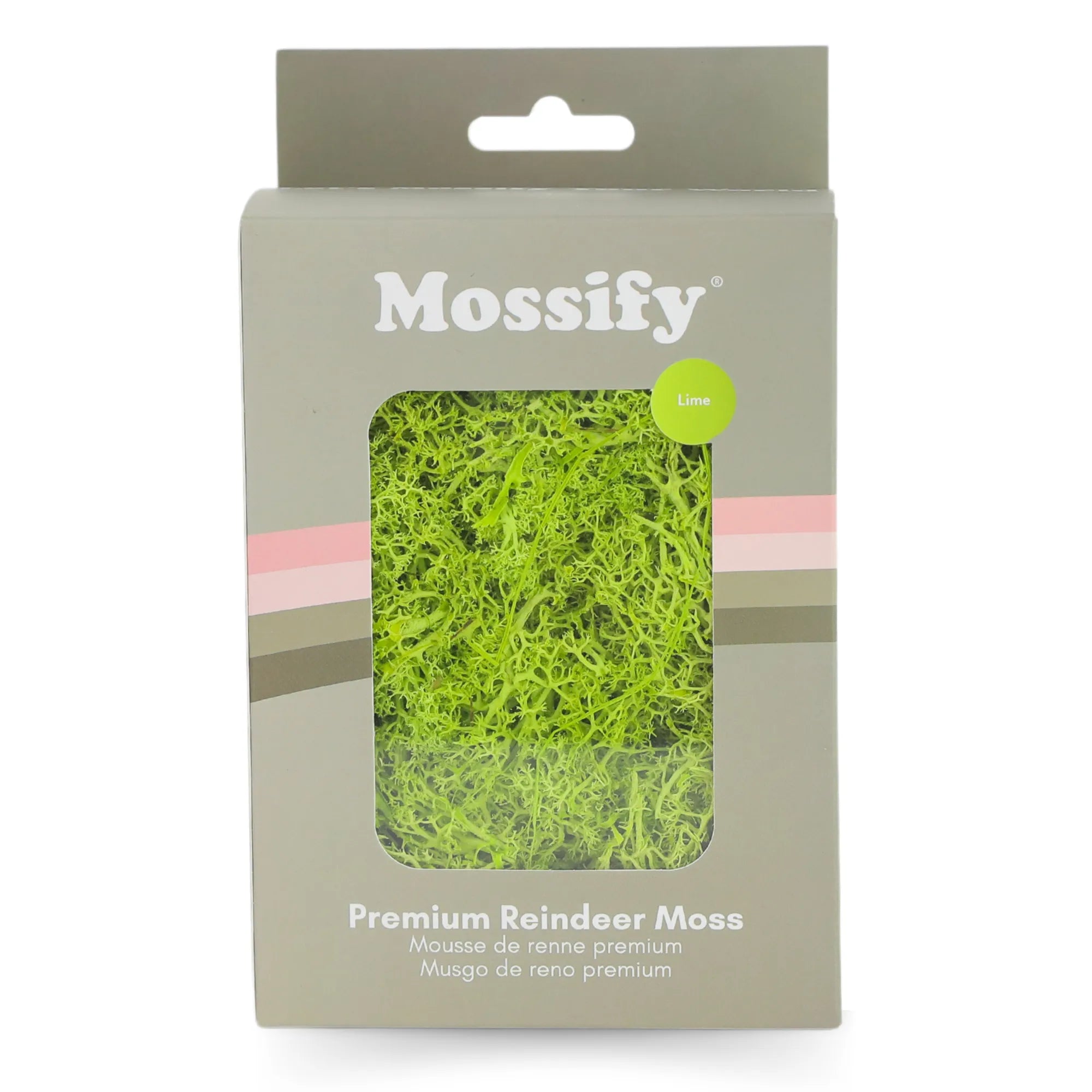 Premium Preserved Reindeer Moss Mossify product_type art-noise.myshopify.com premium-preserved-reindeer-moss Premium Preserved Reindeer Moss Mossify  art-noise.myshopify.com premium-preserved-reindeer-moss