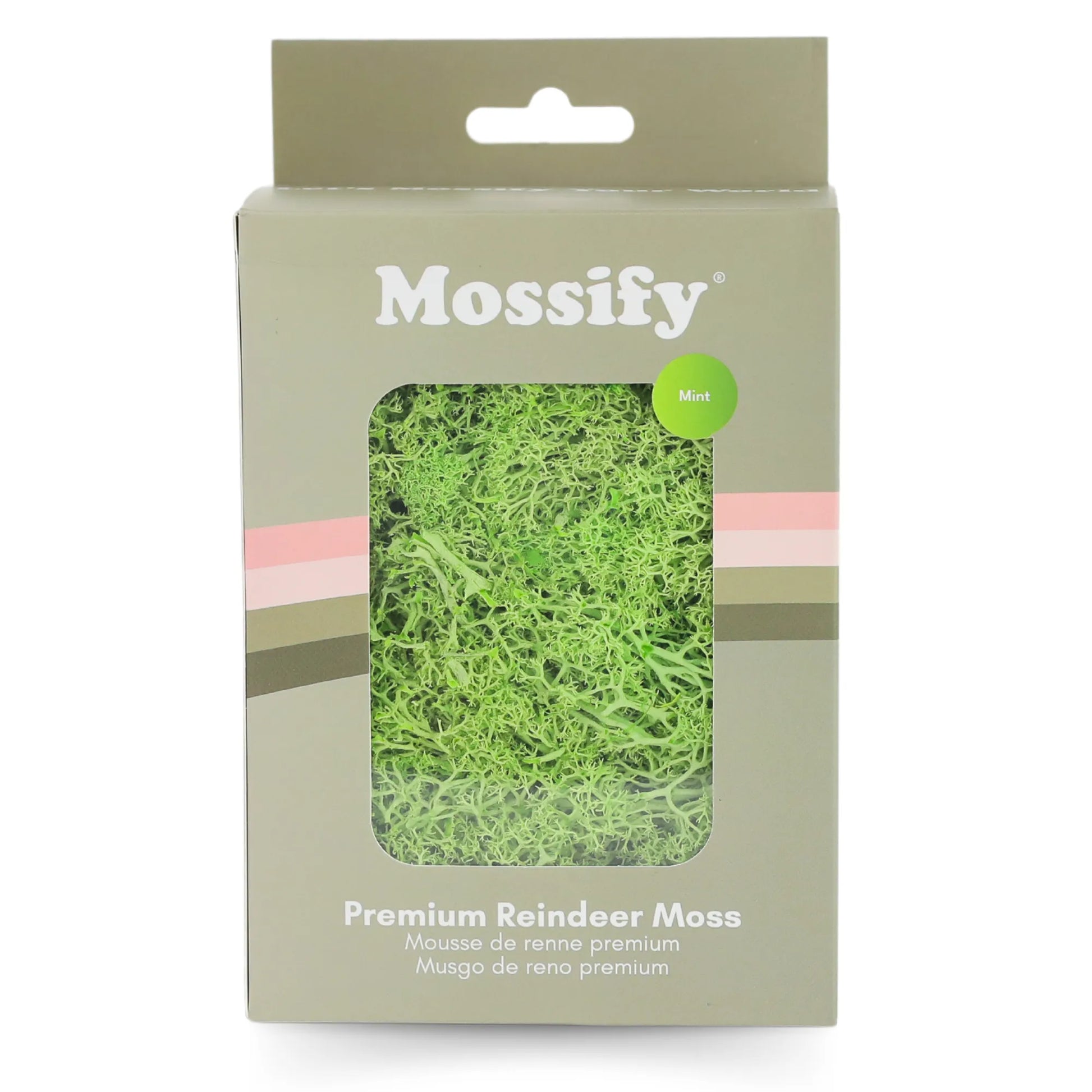 Premium Preserved Reindeer Moss Mossify product_type art-noise.myshopify.com premium-preserved-reindeer-moss Premium Preserved Reindeer Moss Mossify  art-noise.myshopify.com premium-preserved-reindeer-moss