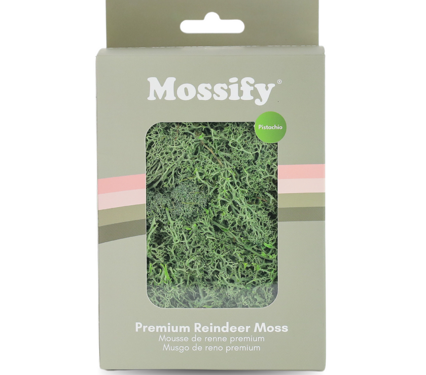 Premium Preserved Reindeer Moss