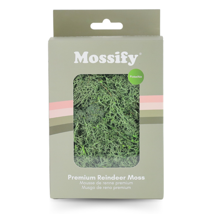 Premium Preserved Reindeer Moss