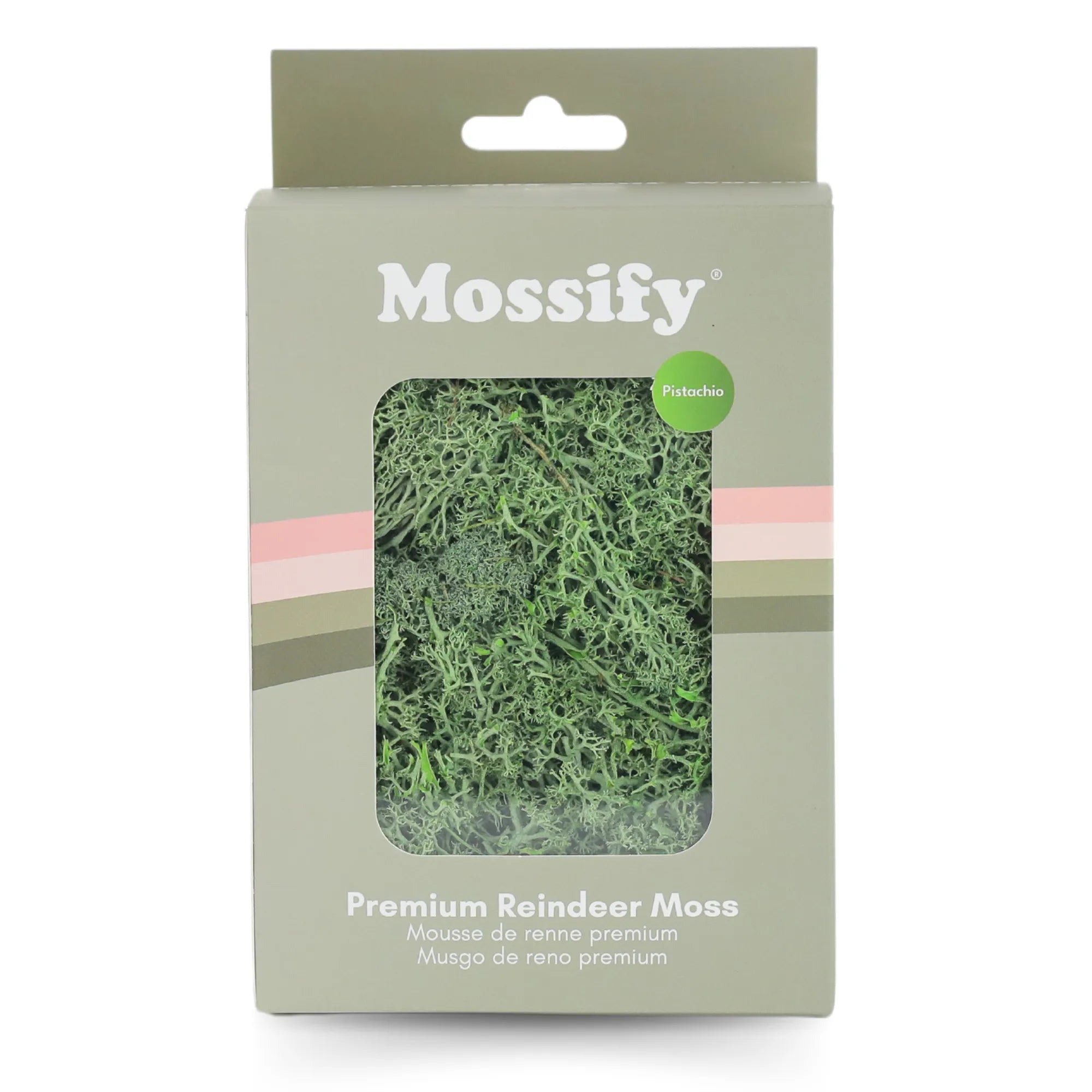 Premium Preserved Reindeer Moss Mossify product_type art-noise.myshopify.com premium-preserved-reindeer-moss Premium Preserved Reindeer Moss Mossify  art-noise.myshopify.com premium-preserved-reindeer-moss