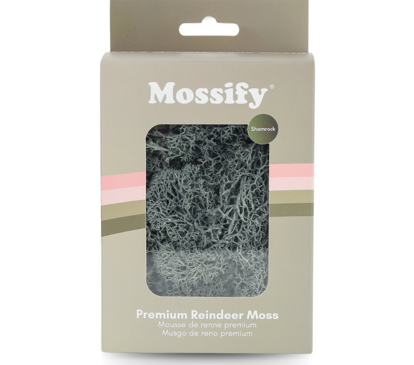 Premium Preserved Reindeer Moss