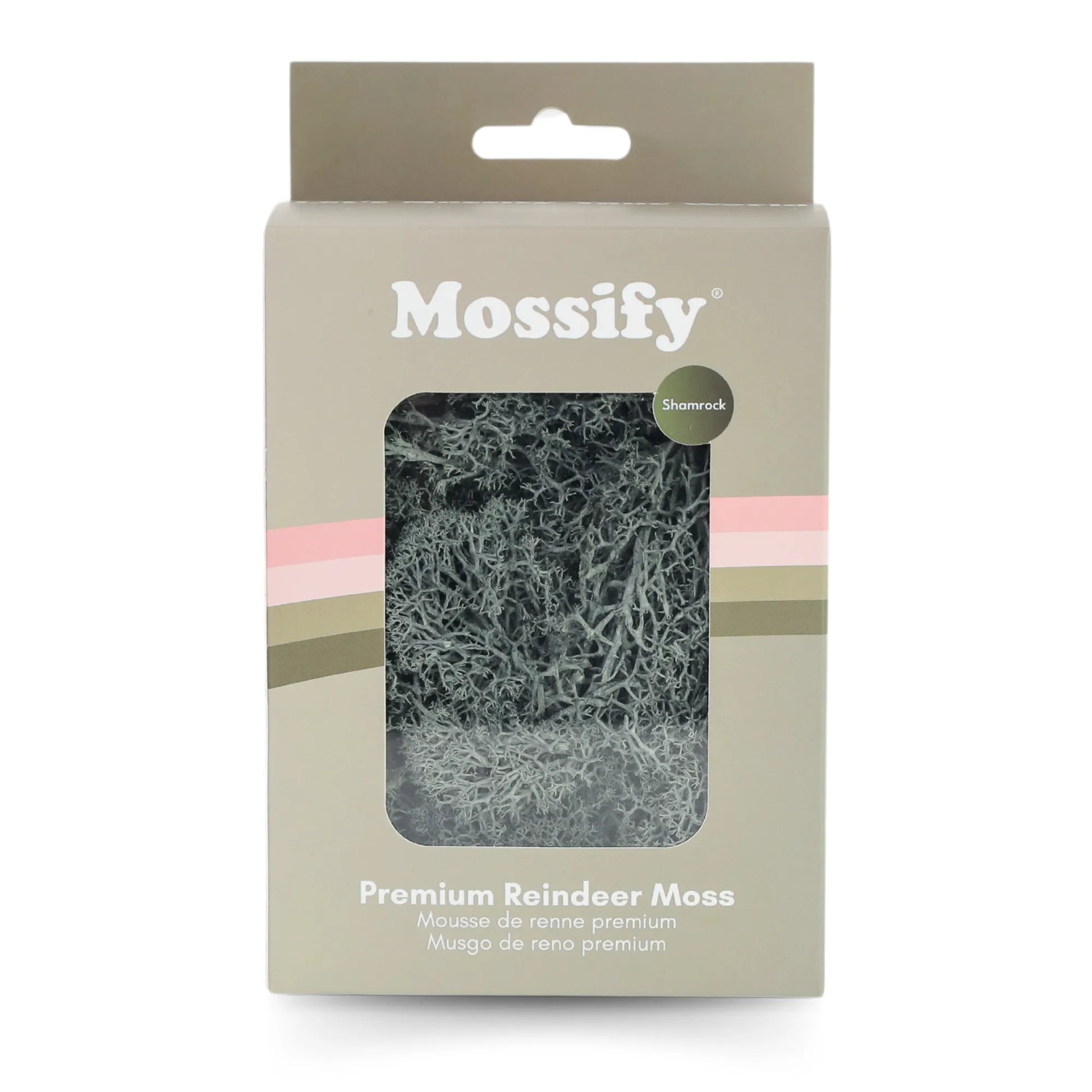 Premium Preserved Reindeer Moss Mossify product_type art-noise.myshopify.com premium-preserved-reindeer-moss Premium Preserved Reindeer Moss Mossify  art-noise.myshopify.com premium-preserved-reindeer-moss