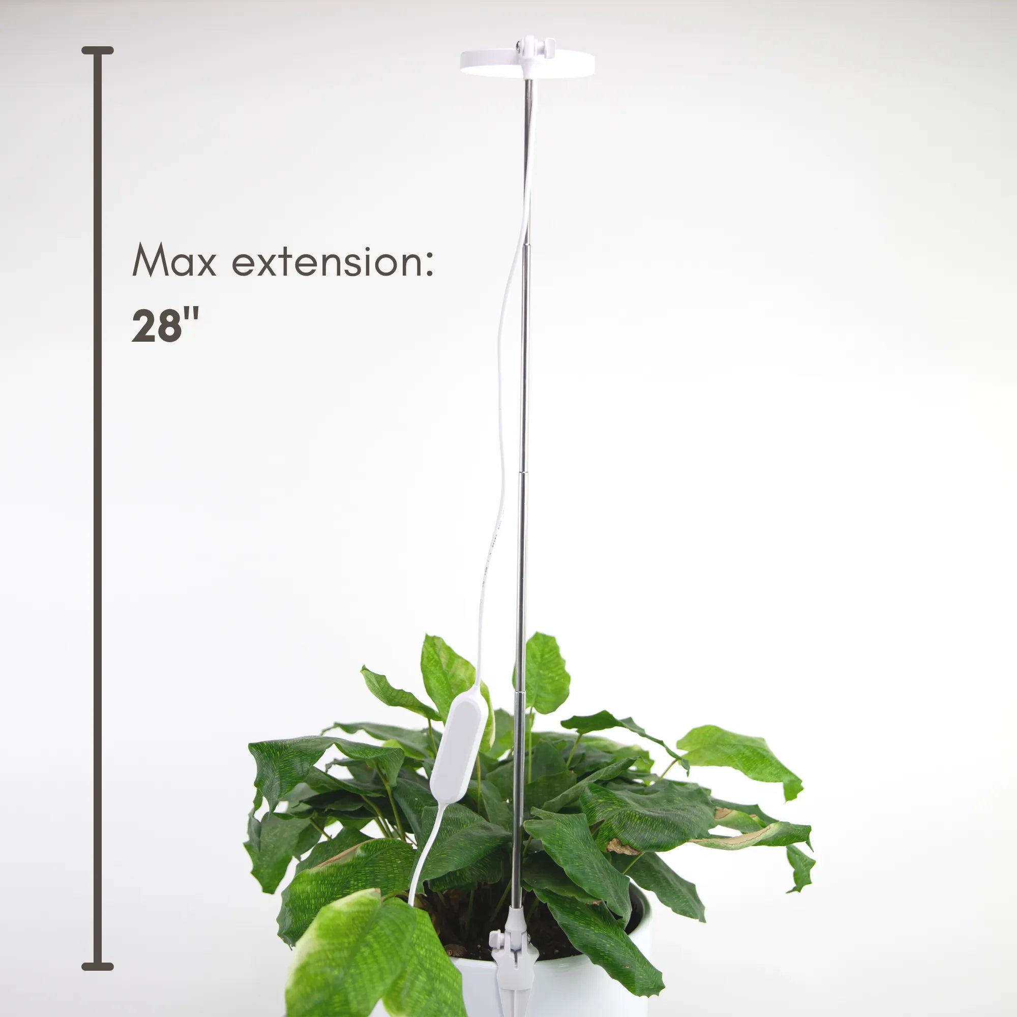 Adjustable LED Plant Light Mossify Accessories art-noise.myshopify.com adjustable-led-plant-light Adjustable LED Plant Light Mossify Accessories art-noise.myshopify.com adjustable-led-plant-light