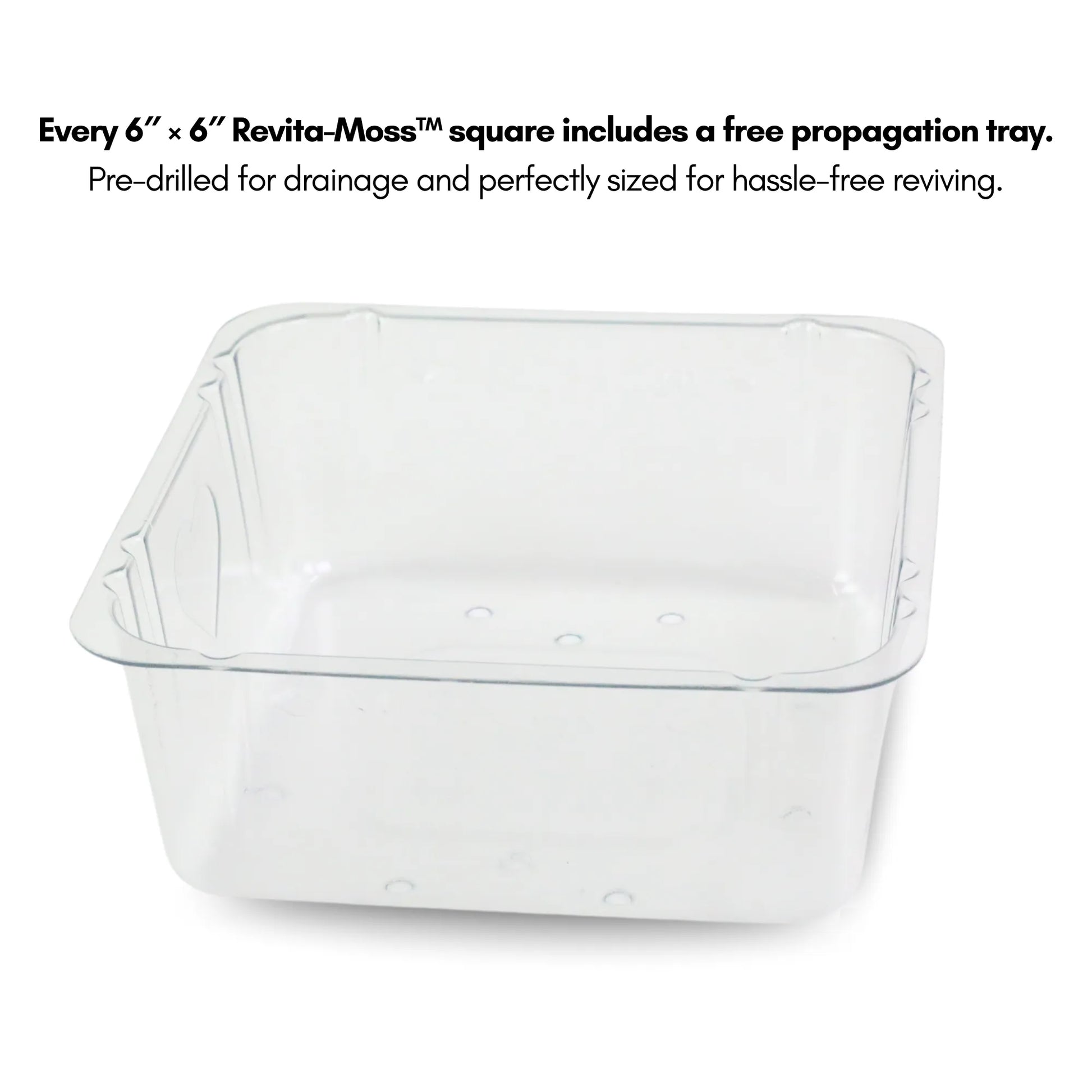 Natural Canadian Sphagnum Moss - Revita-Moss Mossify product_type art-noise.myshopify.com natural-canadian-sphagnum-moss-revita-moss Natural Canadian Sphagnum Moss - Revita-Moss Mossify  art-noise.myshopify.com natural-canadian-sphagnum-moss-revita-moss