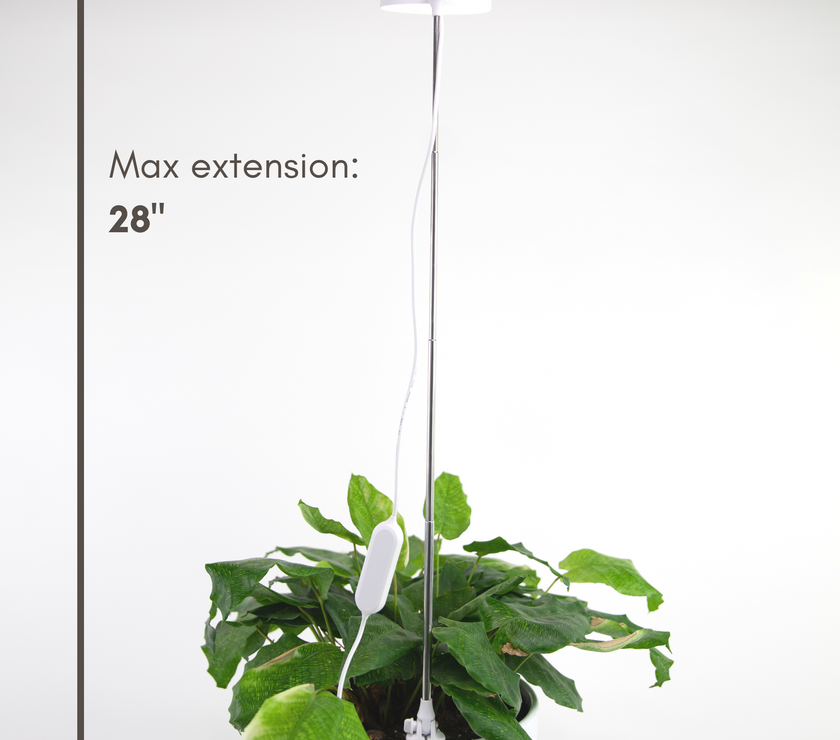 Adjustable LED Plant Light