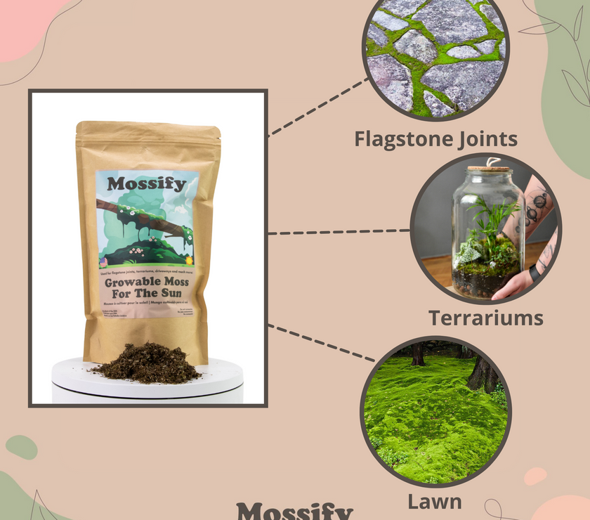 Growable Moss for the Sun