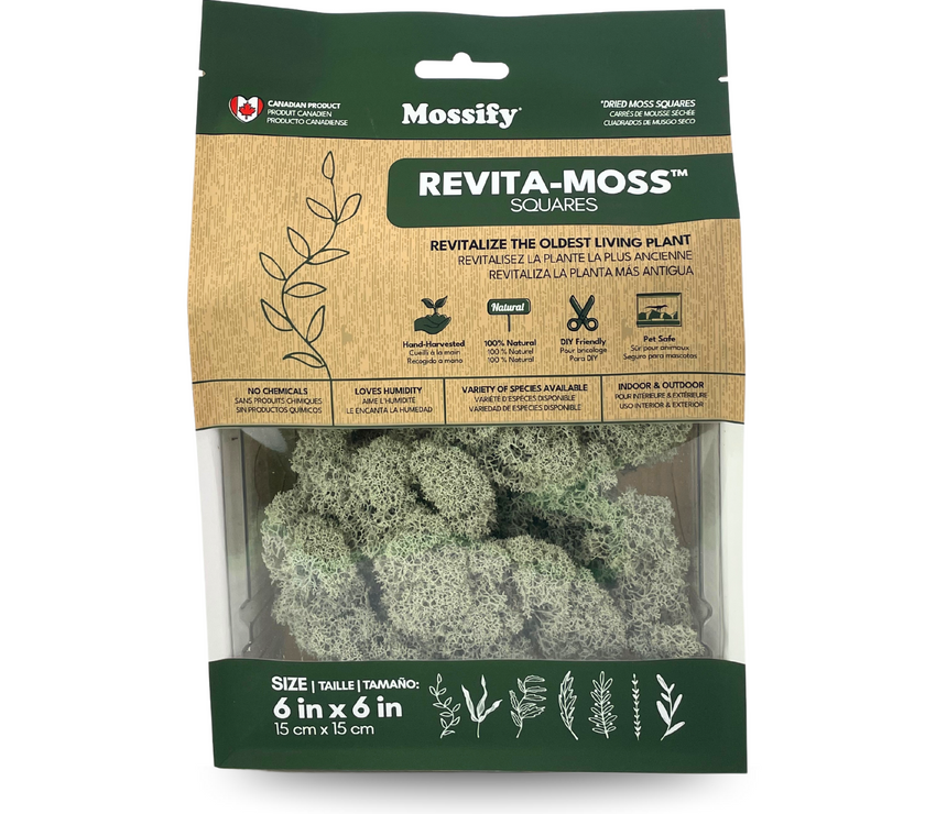 Natural Canadian Reindeer Moss - Revita-Moss