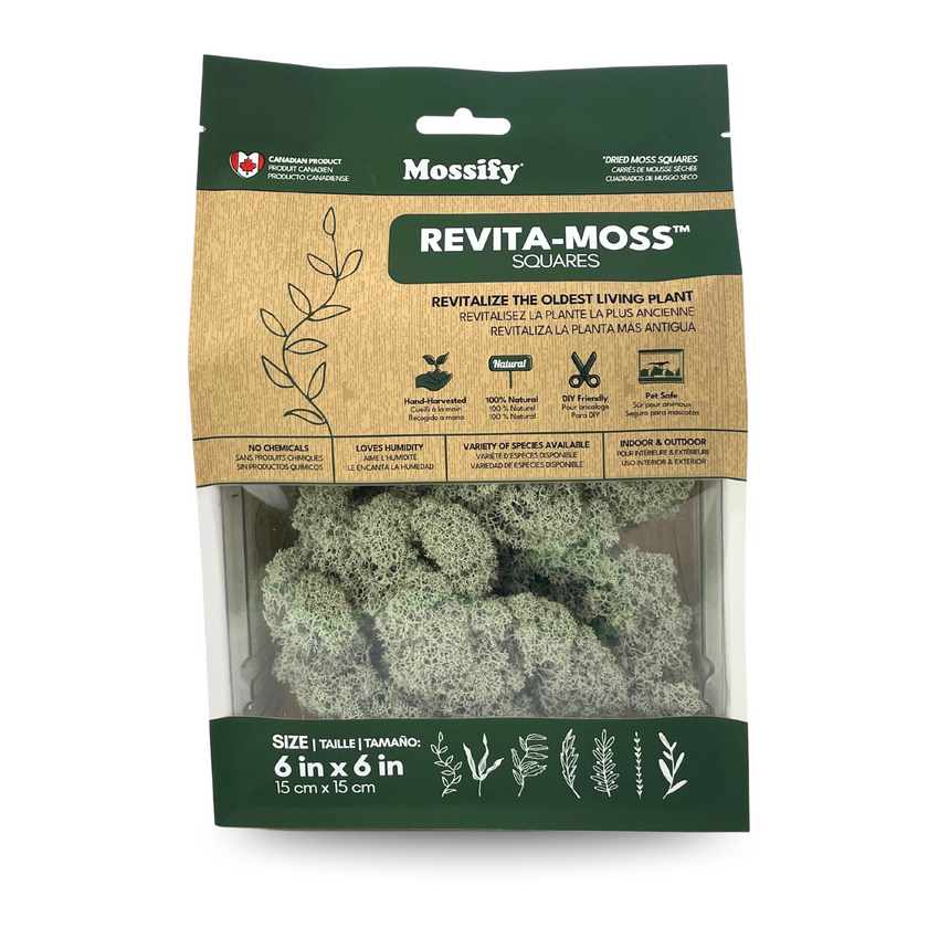 Natural Canadian Reindeer Moss - Revita-Moss