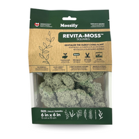 Natural Canadian Reindeer Moss - Revita-Moss