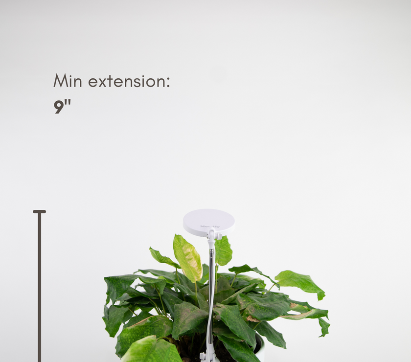 Adjustable LED Plant Light