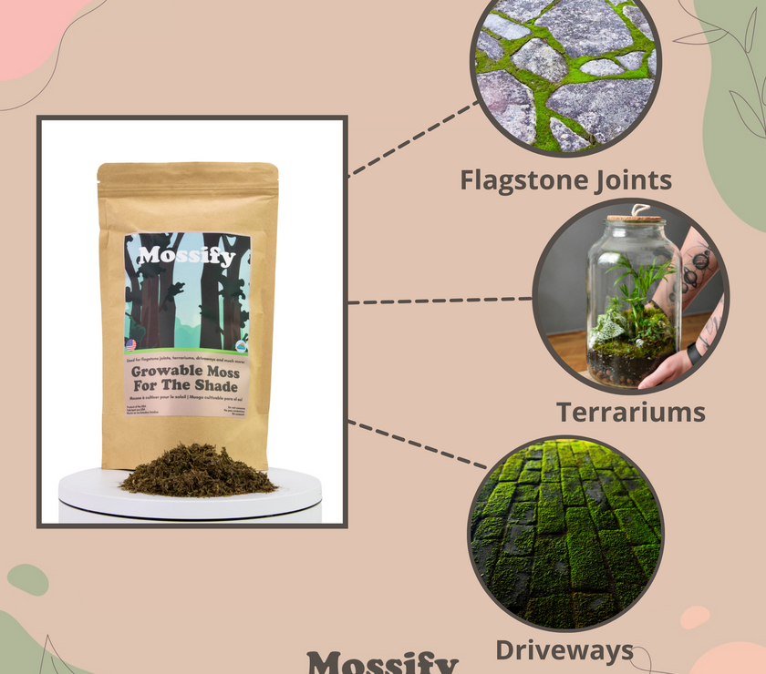 Growable Moss for the Shade