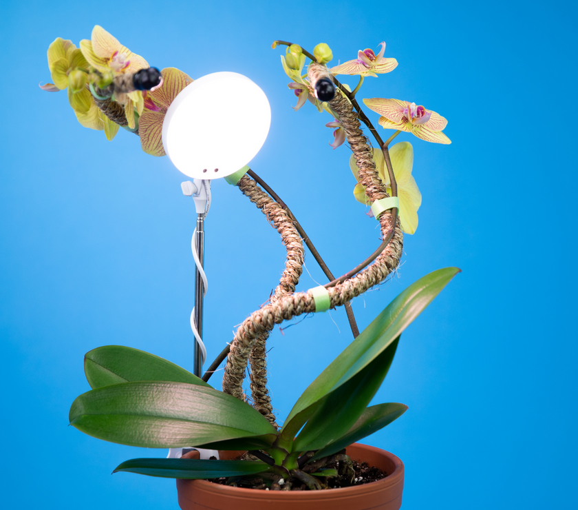Adjustable LED Plant Light