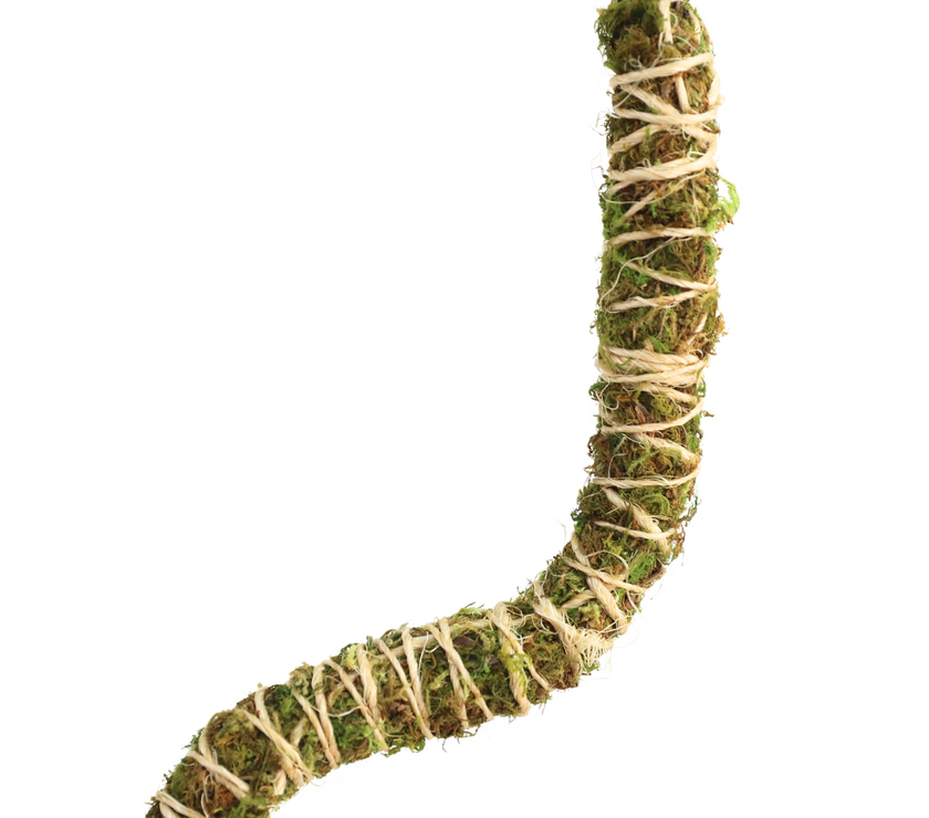 The Bendable Moss Pole™ 𝘛𝘏𝘐𝘕