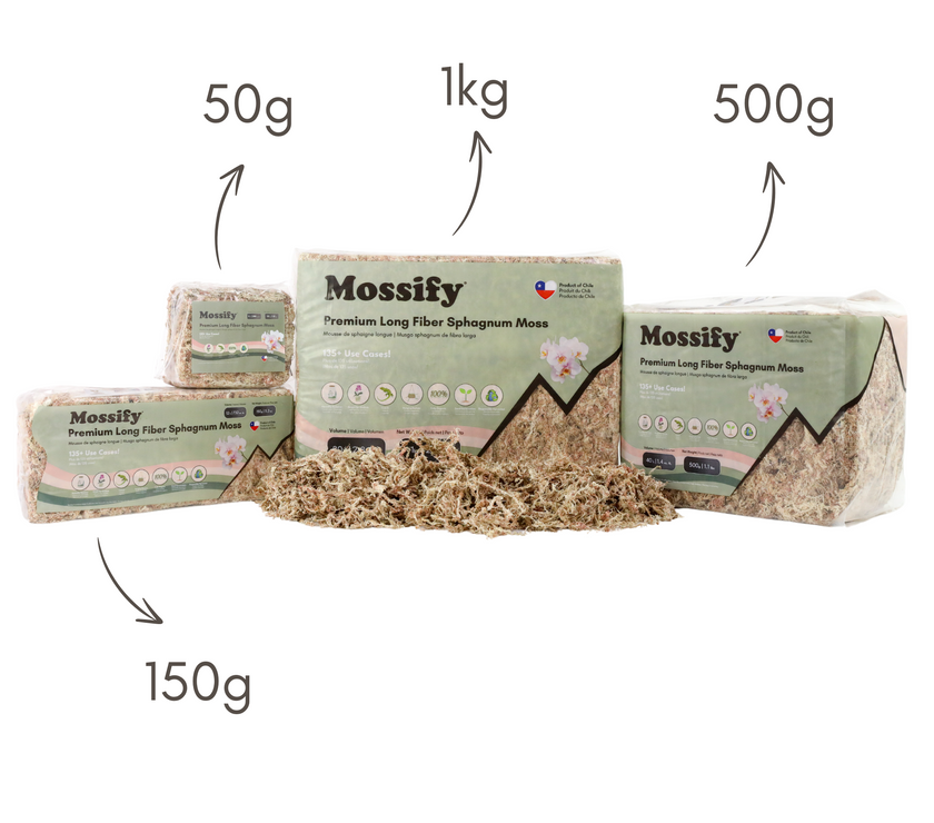 Premium Sphagnum Moss