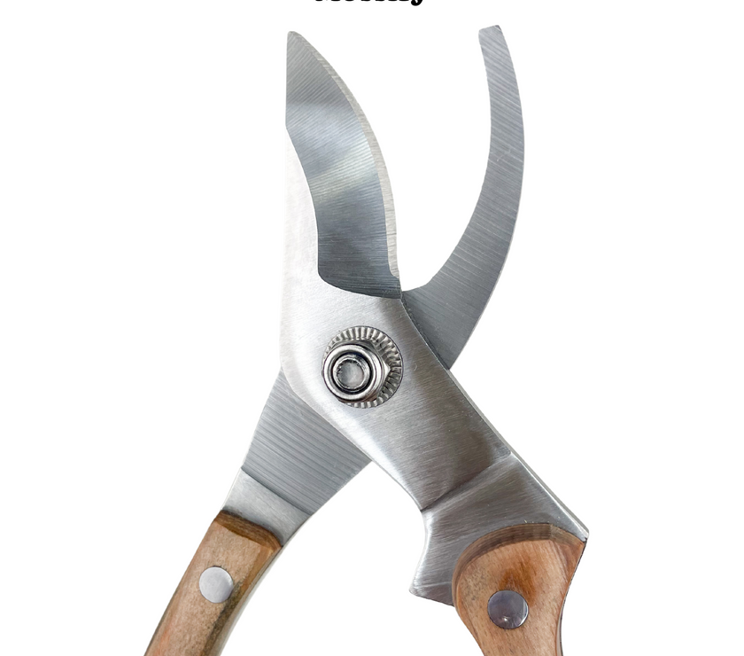 Garden Utility Shears