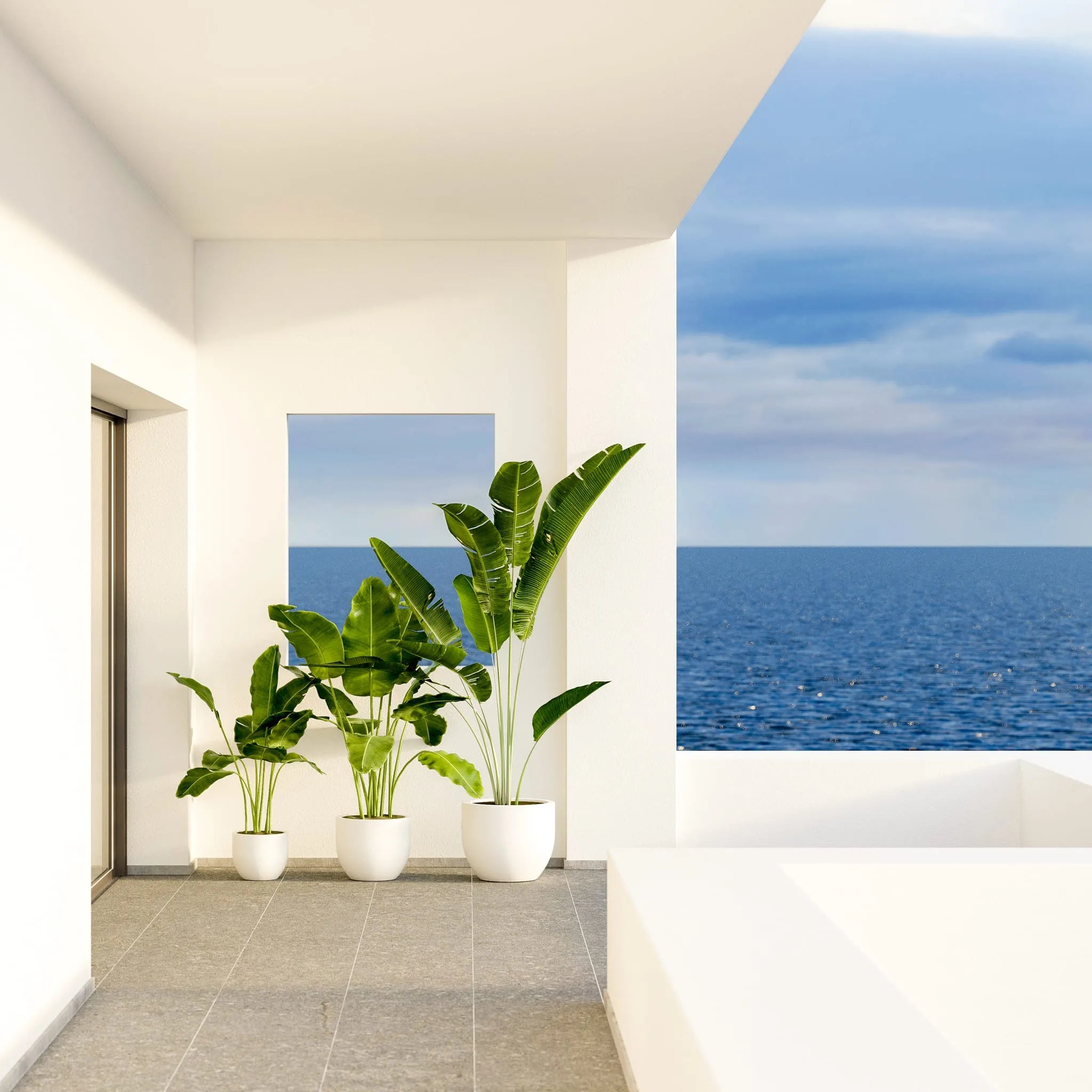 Azalea Nüline Distribution Pots & Planters art-noise.myshopify.com azalea Azalea Nüline Distribution Pots & Planters art-noise.myshopify.com azalea