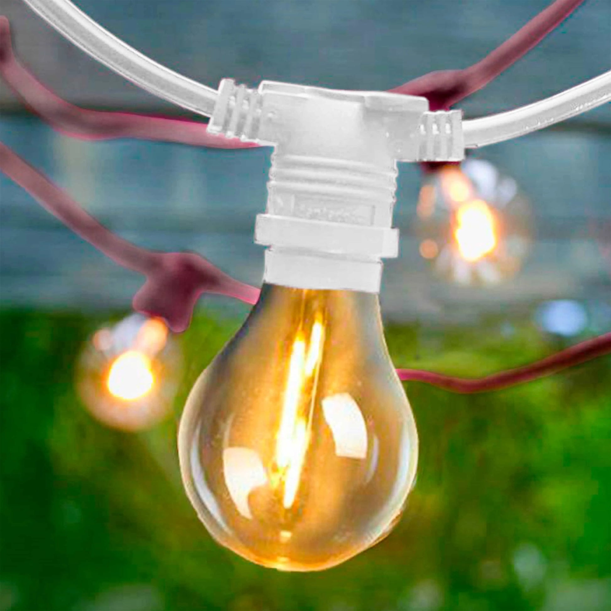 Allegra<br> Solar-charged Garland Nüline Distribution Wreaths & Garlands art-noise.myshopify.com allegra-br-solar-charged-garland Allegra<br> Solar-charged Garland Nüline Distribution Wreaths & Garlands art-noise.myshopify.com allegra-br-solar-charged-garland