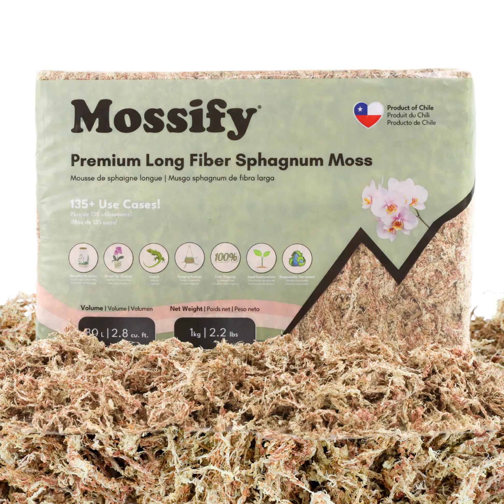Premium Sphagnum Moss Mossify product_type art-noise.myshopify.com premium-sphagnum-moss Premium Sphagnum Moss Mossify  art-noise.myshopify.com premium-sphagnum-moss