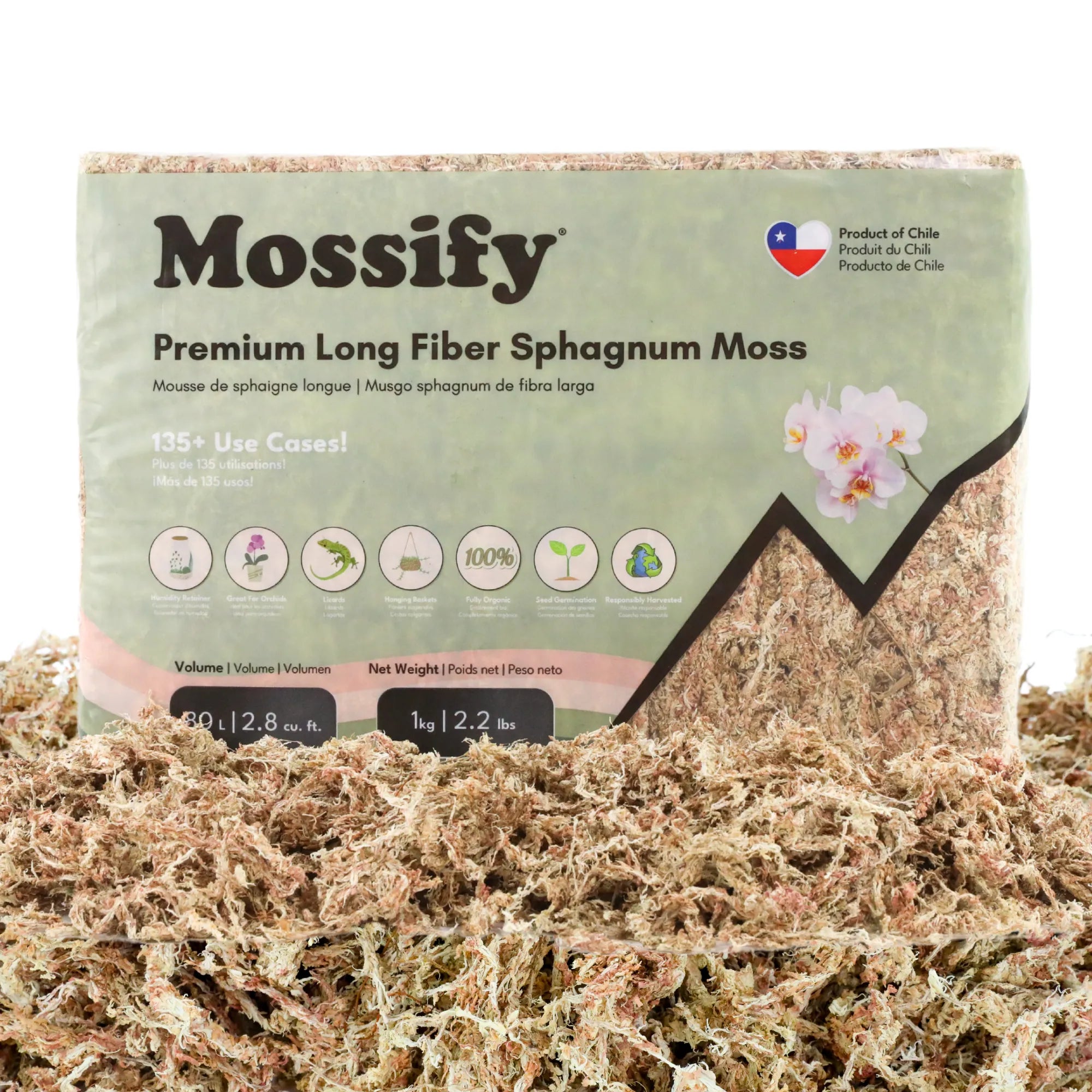 Premium Sphagnum Moss Mossify product_type art-noise.myshopify.com premium-sphagnum-moss Premium Sphagnum Moss Mossify  art-noise.myshopify.com premium-sphagnum-moss