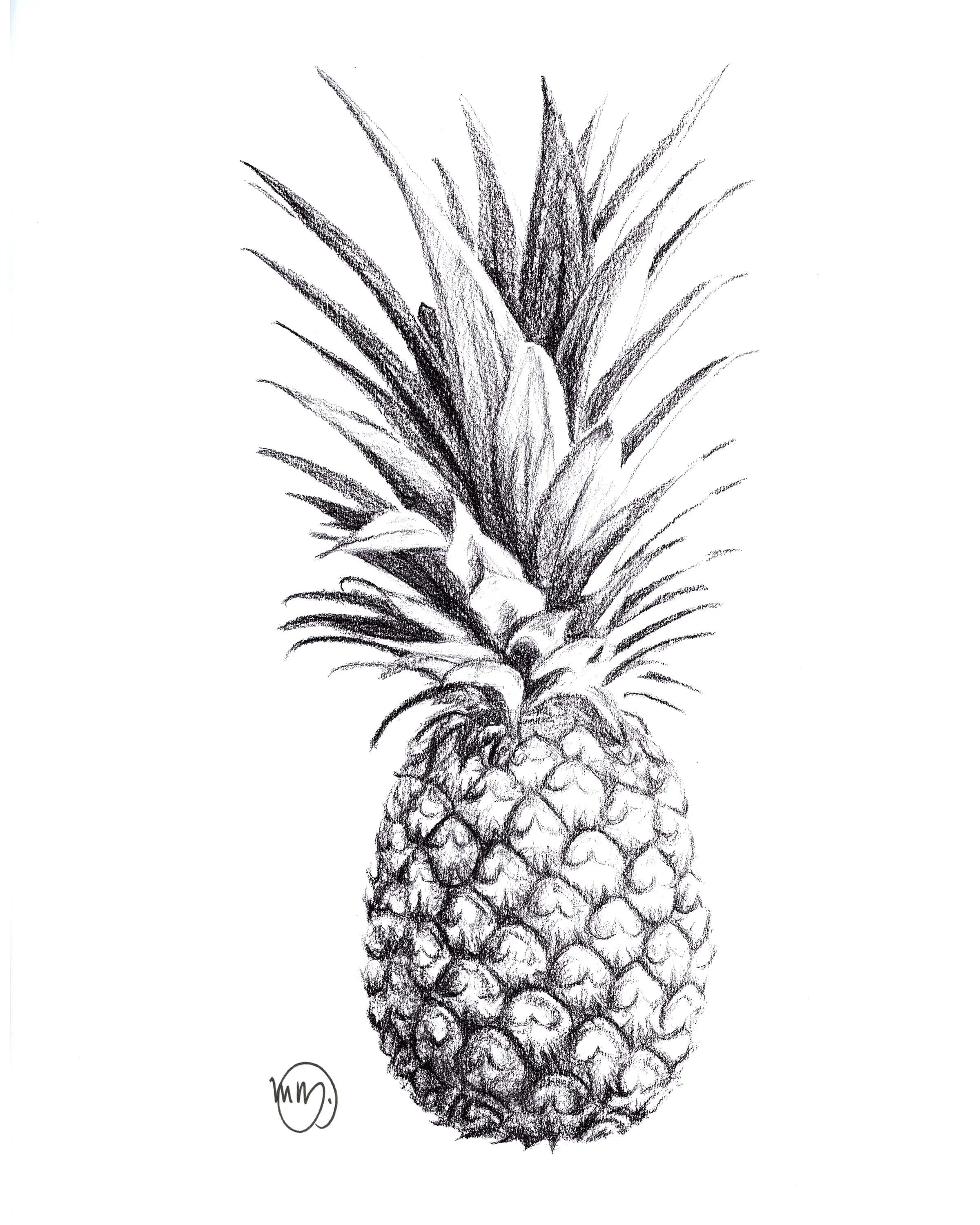 Pineapple illustration LE NID atelier illustration art-noise.myshopify.com pineapple-illustration Pineapple illustration LE NID atelier illustration art-noise.myshopify.com pineapple-illustration