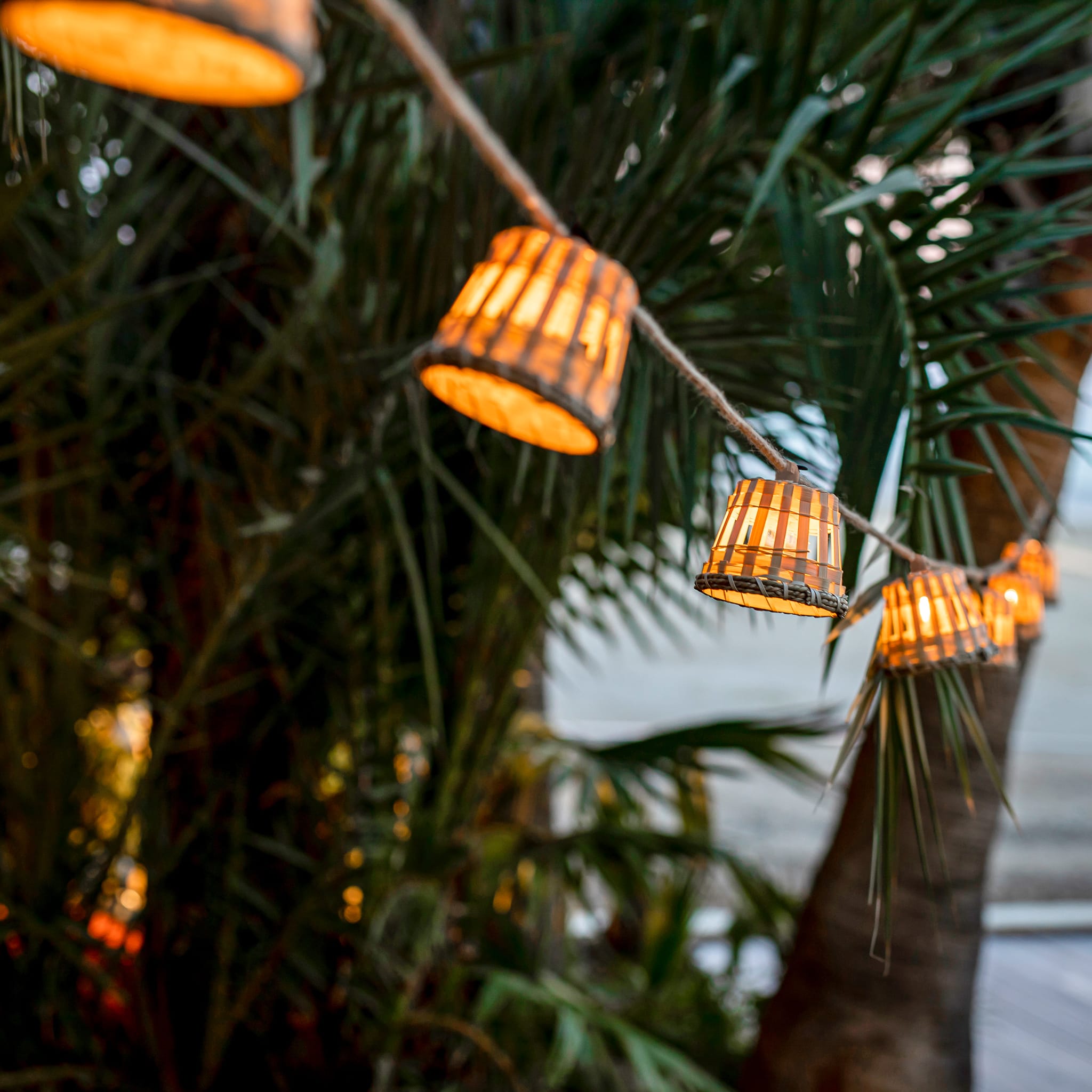 Aurora<br> Solar-charged Garland