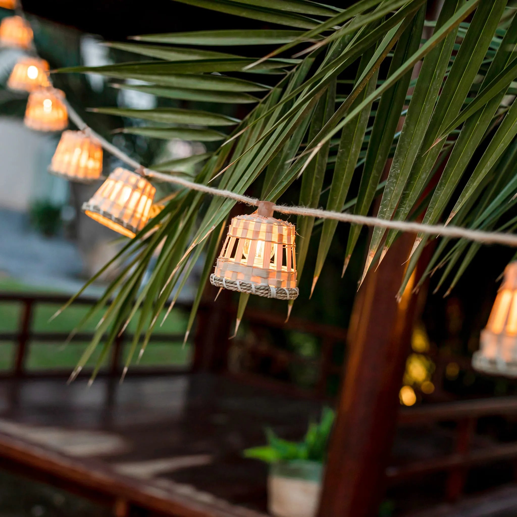 Aurora<br> Solar-charged Garland Nüline Distribution Wreaths & Garlands art-noise.myshopify.com aurora-br-solar-charged-garland Aurora<br> Solar-charged Garland Nüline Distribution Wreaths & Garlands art-noise.myshopify.com aurora-br-solar-charged-garland