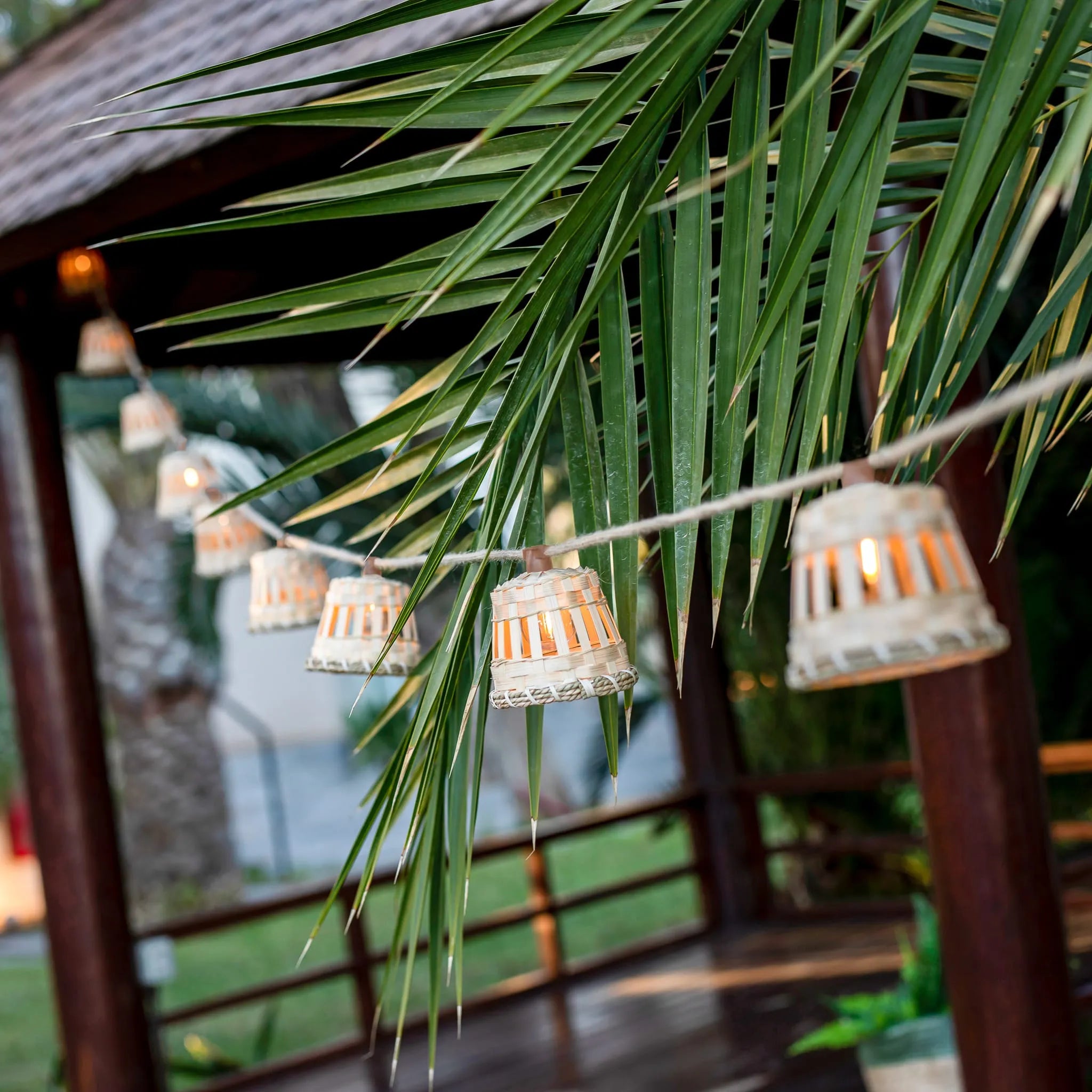 Aurora<br> Solar-charged Garland Nüline Distribution Wreaths & Garlands art-noise.myshopify.com aurora-br-solar-charged-garland Aurora<br> Solar-charged Garland Nüline Distribution Wreaths & Garlands art-noise.myshopify.com aurora-br-solar-charged-garland